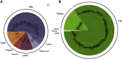 tea genome research tea taste gen