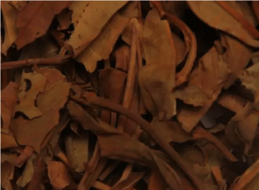 Brewed leaves of well-stored vintage raw pu erh